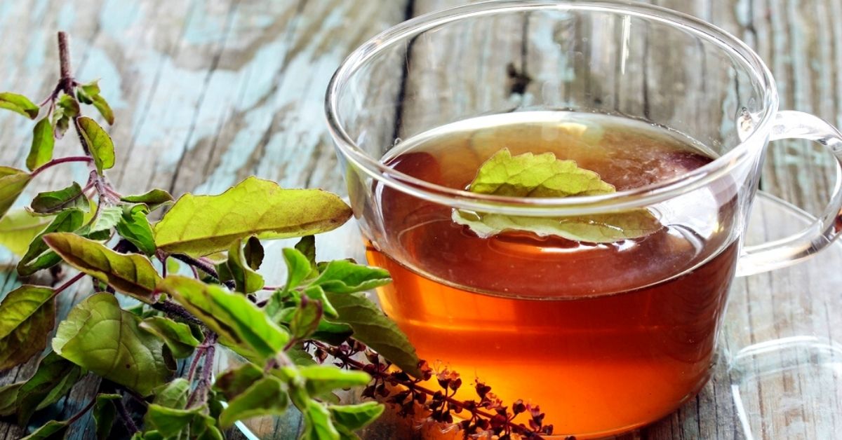 12 Reasons Why a Daily Dose of Tulsi Is Great News for Your Health!