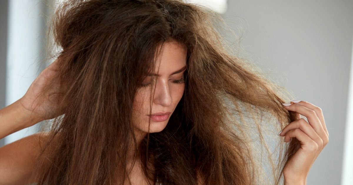 dry hair natural care