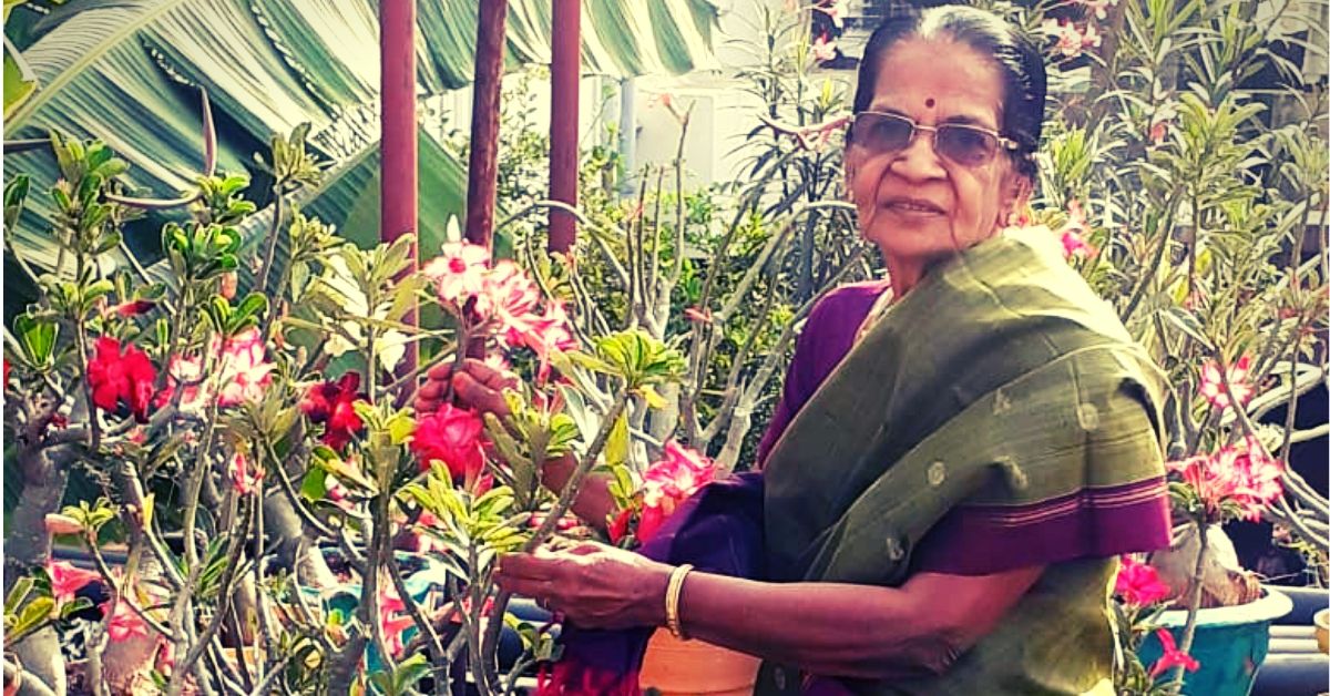 80-YO woman creates a 500-plant urban jungle in the heart of Chennai!