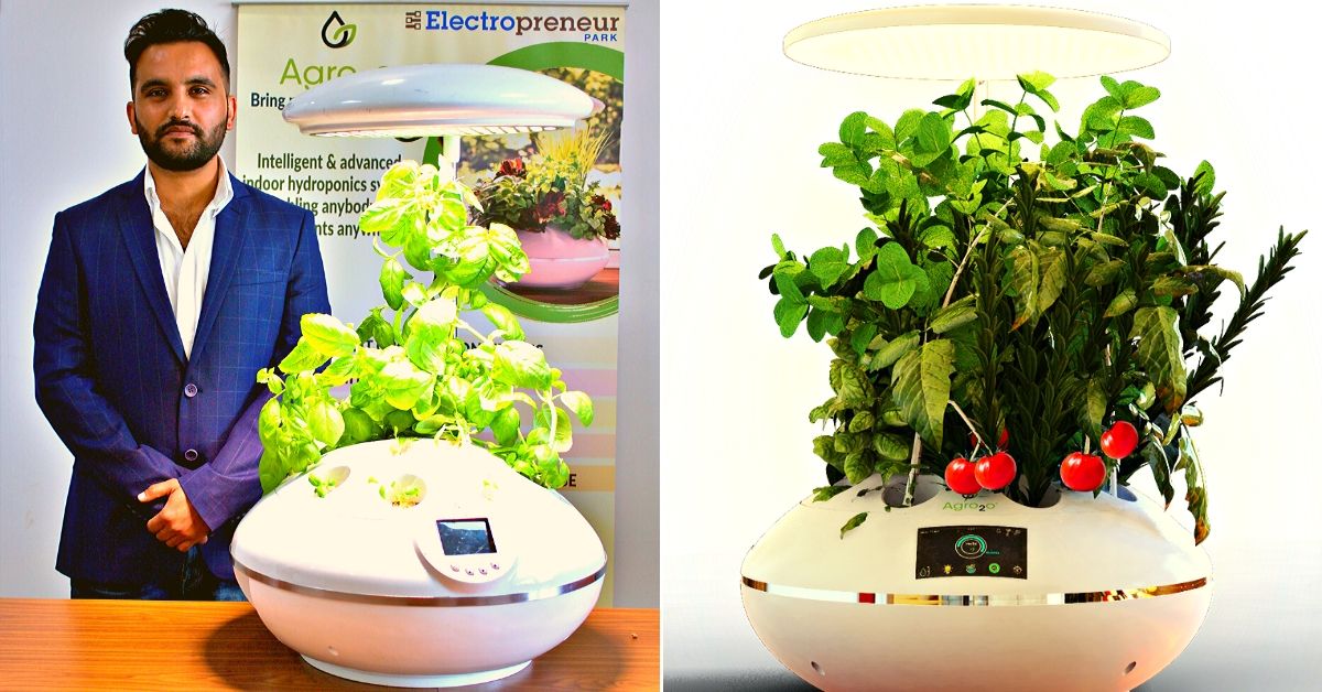 Grow Plants Without Soil: Delhi Startup Powers ‘Smart’ Hydroponic Garden With AI!