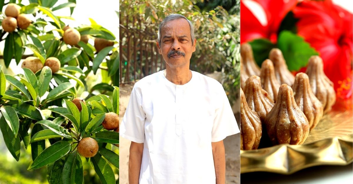 Maharashtra Man Uses Chiku in 16+ ways, Earns Turnover of Rs 1 Crore in a Year!