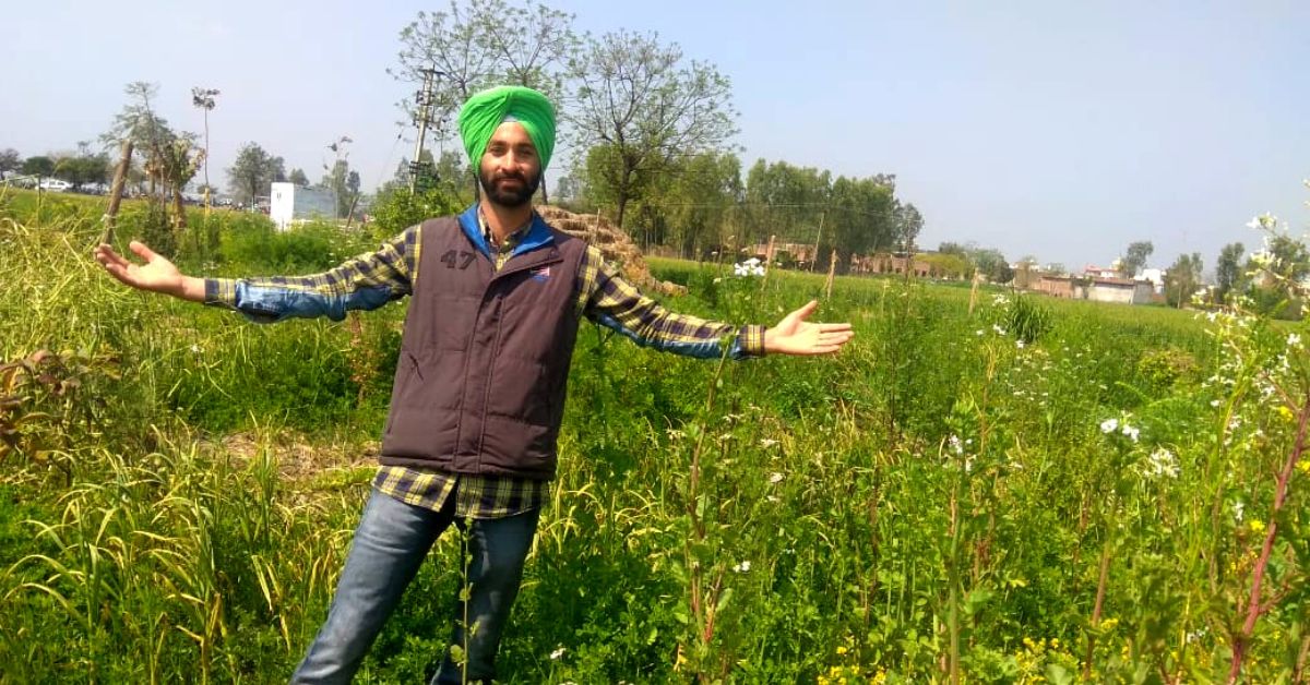 Wife’s Pregnancy Makes Punjab Man Start Natural Farming, Now Grows 30+ Veggies
