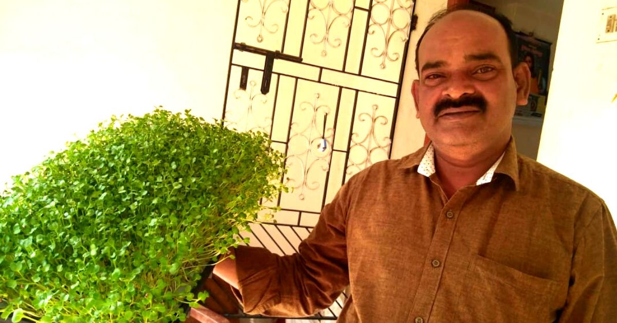 With a 10×10 Room, Chennai Entrepreneur Earns 80,000 Per Month From Microgreens!