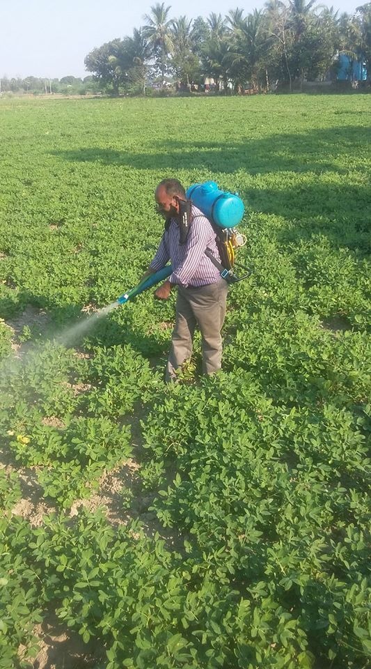 microgreens business plan in tamil