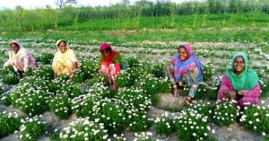 'The Organic Women of Changali Wala', The Force That Transformed a Remote Punjab Village