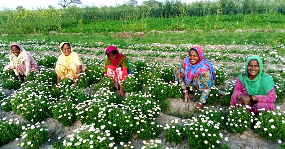 The Organic Women Of Changali Wala Who Transformed A Punjab Village The Organic Women Of Changali Wala Who Transformed A Punjab Village
