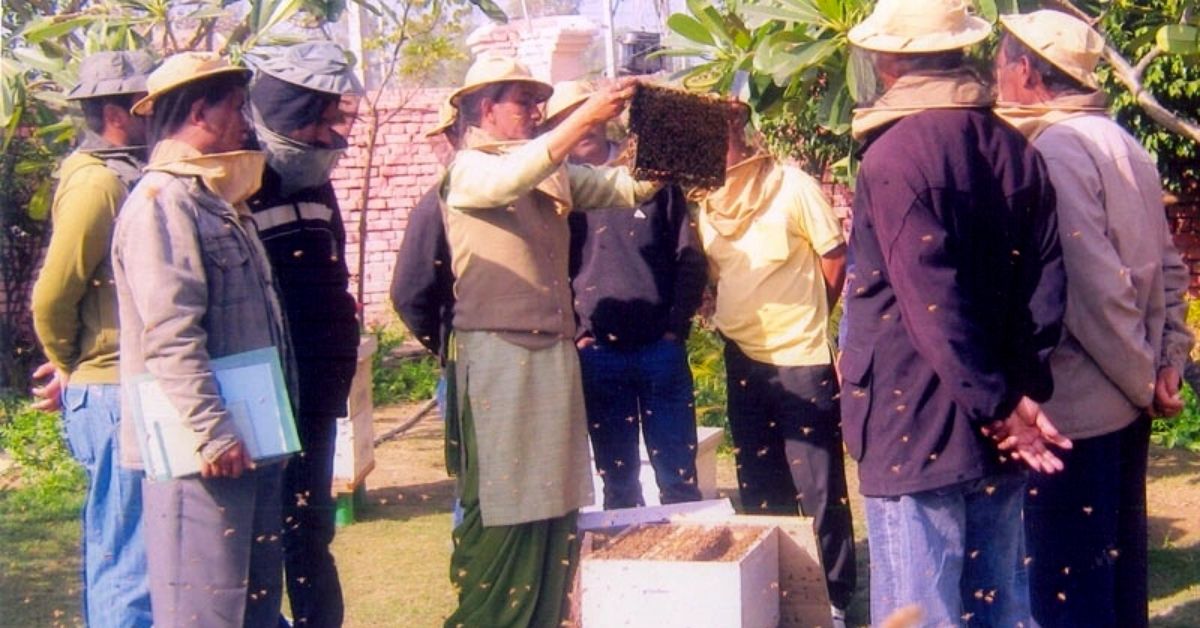 This Entrepreneur Began With Just 5 Boxes of Bees, Now She Employs Over 350 Women