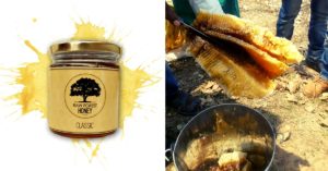 Good for You & the Forests: Here's How Raw Forest Is Doing Honey Right