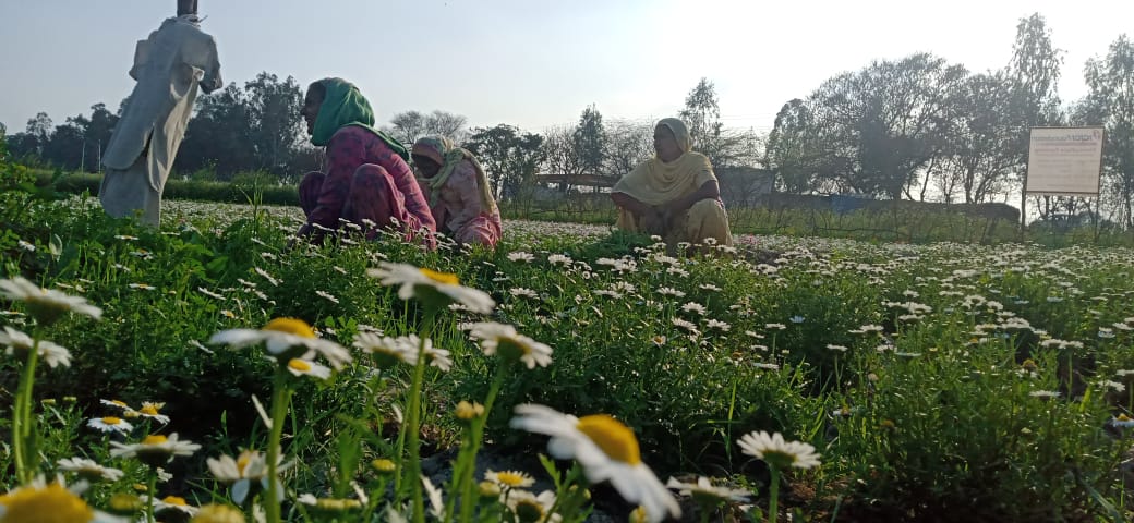 organic farming women Punjab