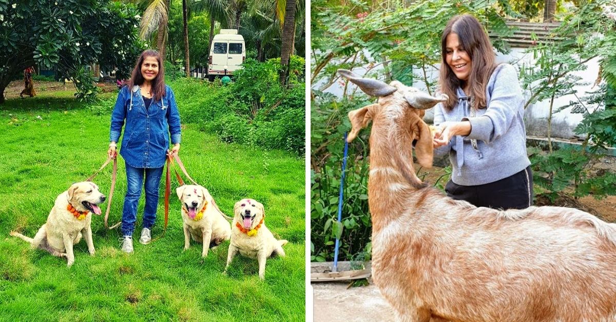 Mumbai Lady Turns Farm Into a Safe Haven for 300 Injured, Abandoned Animals!