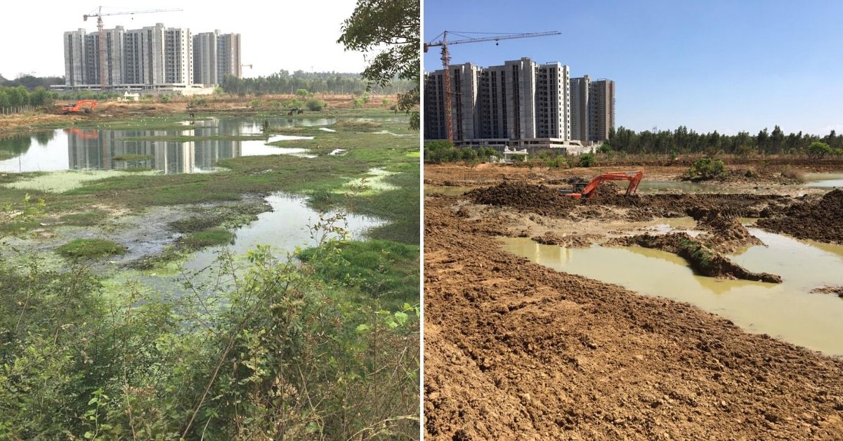 Sewage Was Killing This 32-Acre Bengaluru Lake. Join the Residents Fighting to Save It