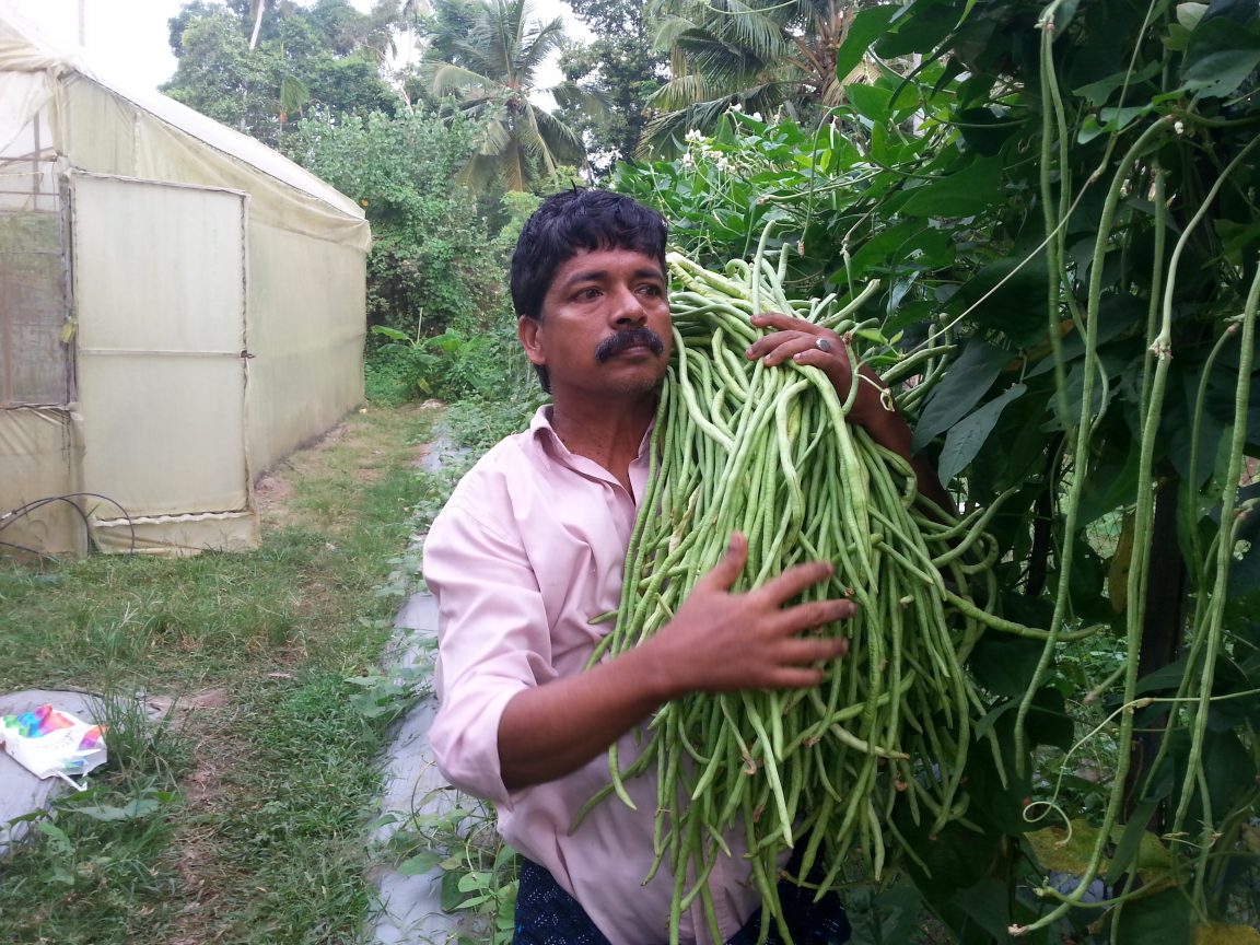 This Kerala Engineer Grows 26 Types of Veggies In Just 60 Sq Ft Space!