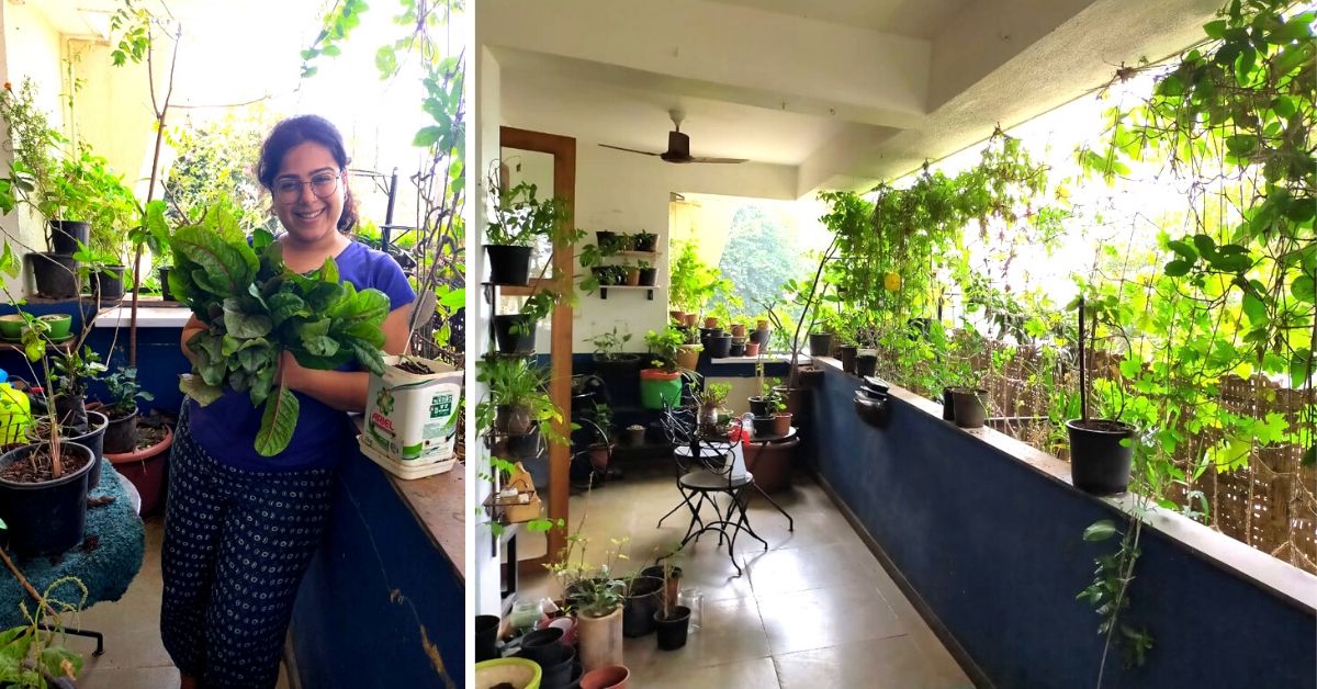 Mumbai Woman Shares How to Grow 30+ Edible Plants in Apartment Balcony