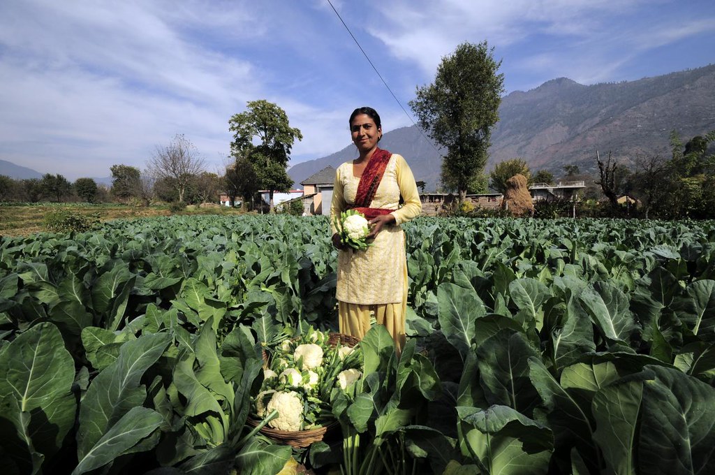 Farmers