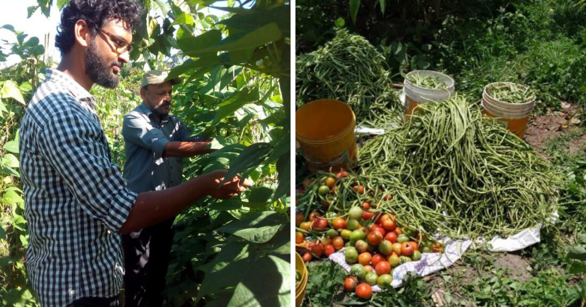 #CoronaWarrior: Kerala Man Donates Entire 1.5-Acre Harvest to Daily Wage Workers