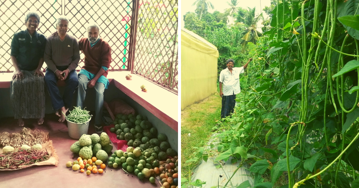 Here’s How This Kerala Engineer Grows 26 Types of Veggies In Just 60 Sq Ft Space!