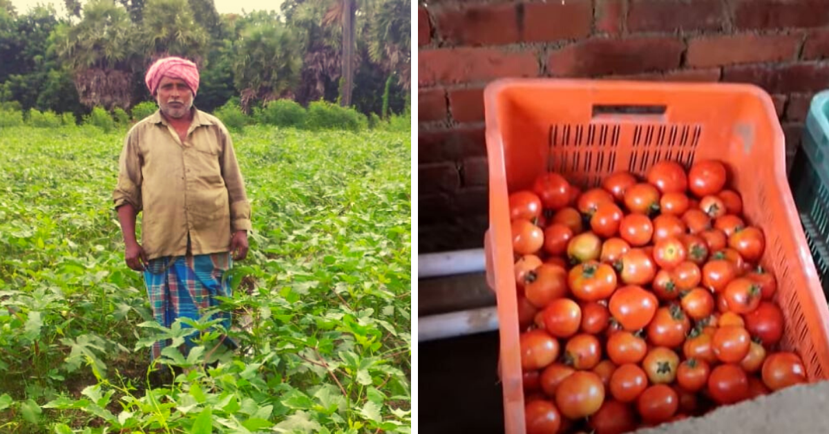 Saudi’s Sands to Kerala’s Hills, This Organic Farmer Can Grow Profits Anywhere!