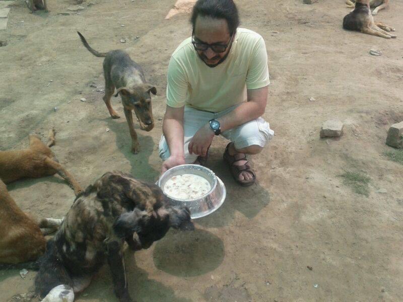 delhi stray dogs covid-19 lockdown