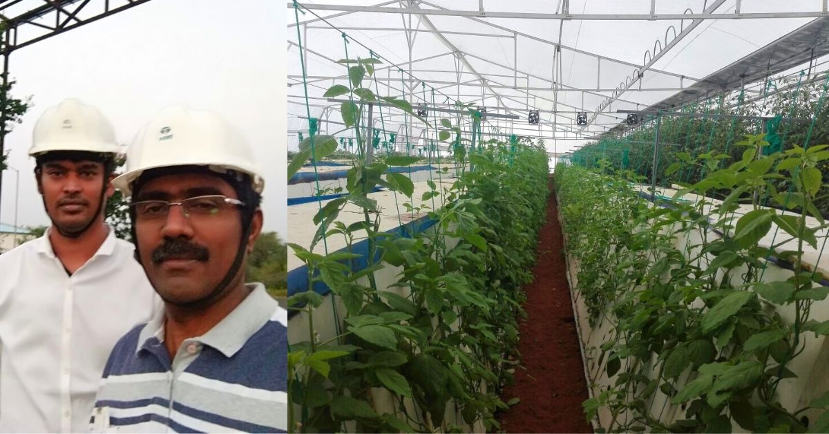 TN Engineer Grows Crops Out of Mere Air, Boosts Productivity By 15 Times!