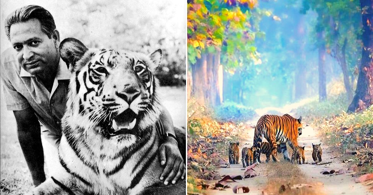 Guilt-Stricken On Killing a Tiger, Padma Shri Officer Went On To Change Their Destiny in India