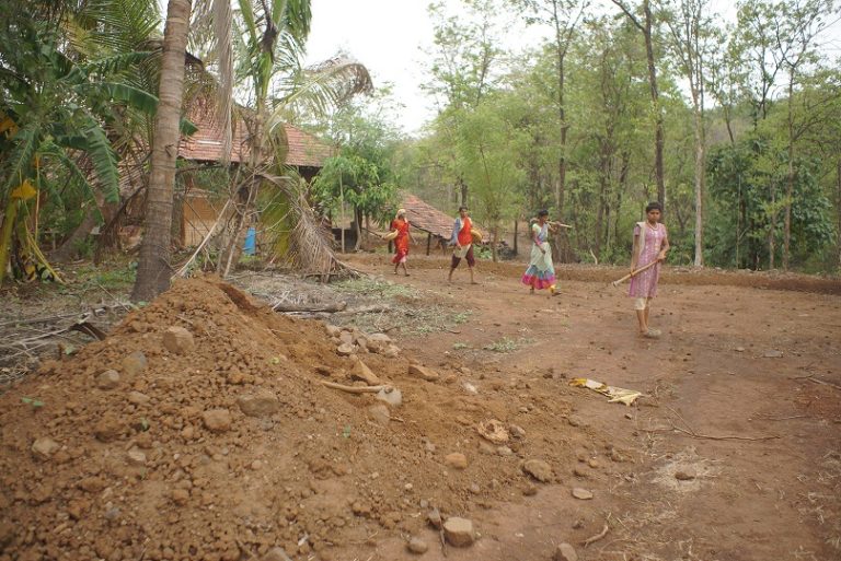 Vanvadi: Mumbaikars grow stunning 'Forest-Farm', with 120+ plant Species