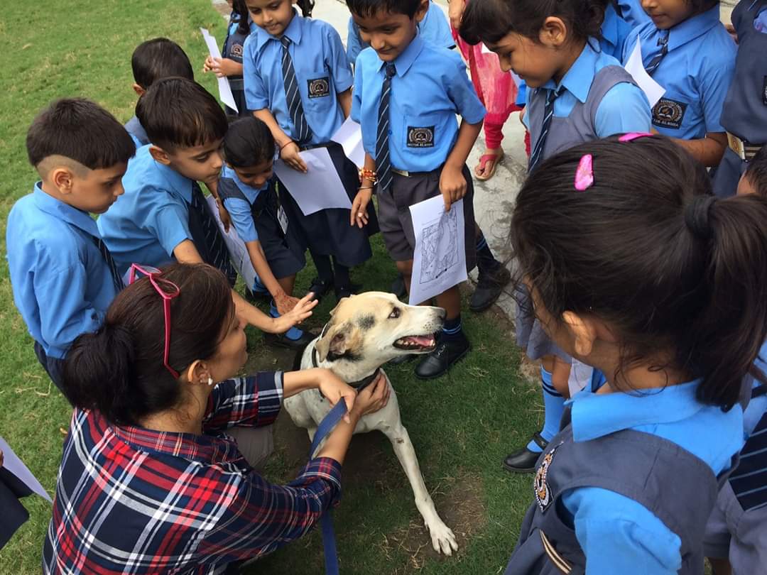 Delhi Couple's Love For Animals Became a Lesson For All CBSE Students