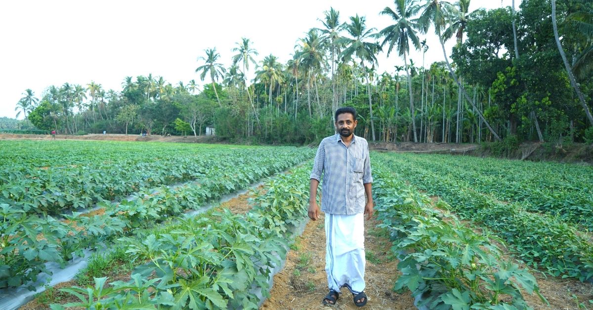 Farmer Farming In Kerala