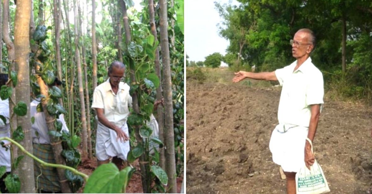 Award-Winning TN Farmer Helps Hundreds Go Organic, Earns Huge Profits!