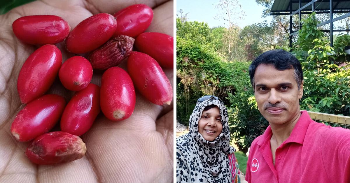 Kerala Techie Quits Job, Now Farms 550 Exotic Fruits From Across The World!