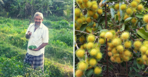 Kerala Man's Self-Sustaining 10 Acre Farm Gobbles Up the Waste of An Entire Society!