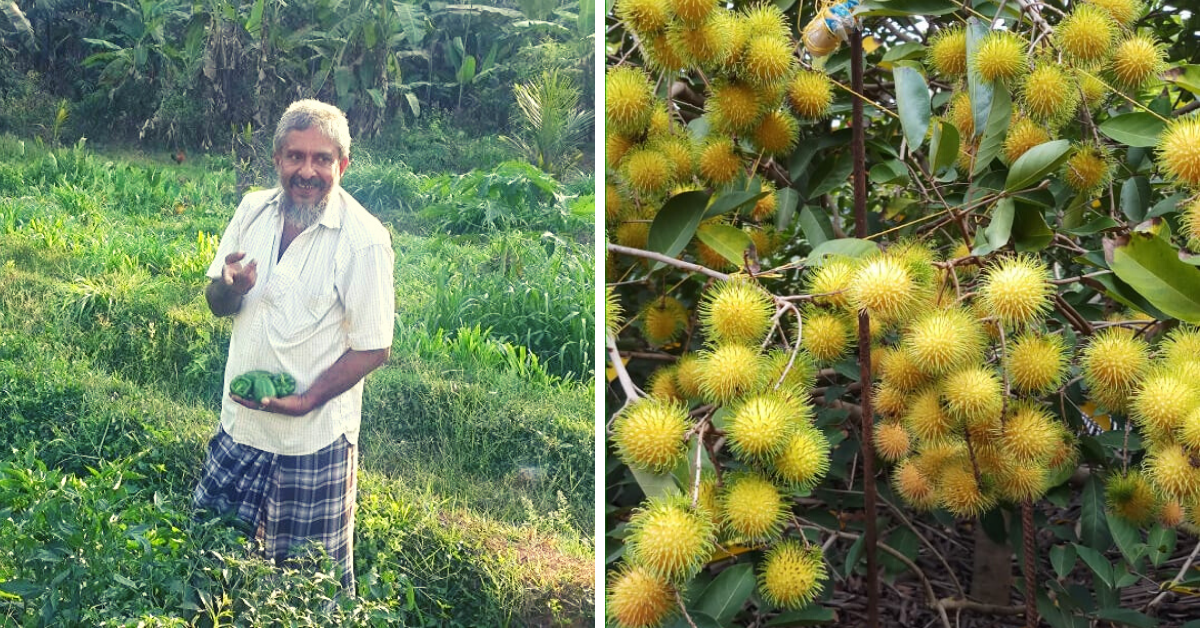 Kerala Man’s Self-Sustaining 10 Acre Farm Gobbles Up the Waste of An Entire Society!