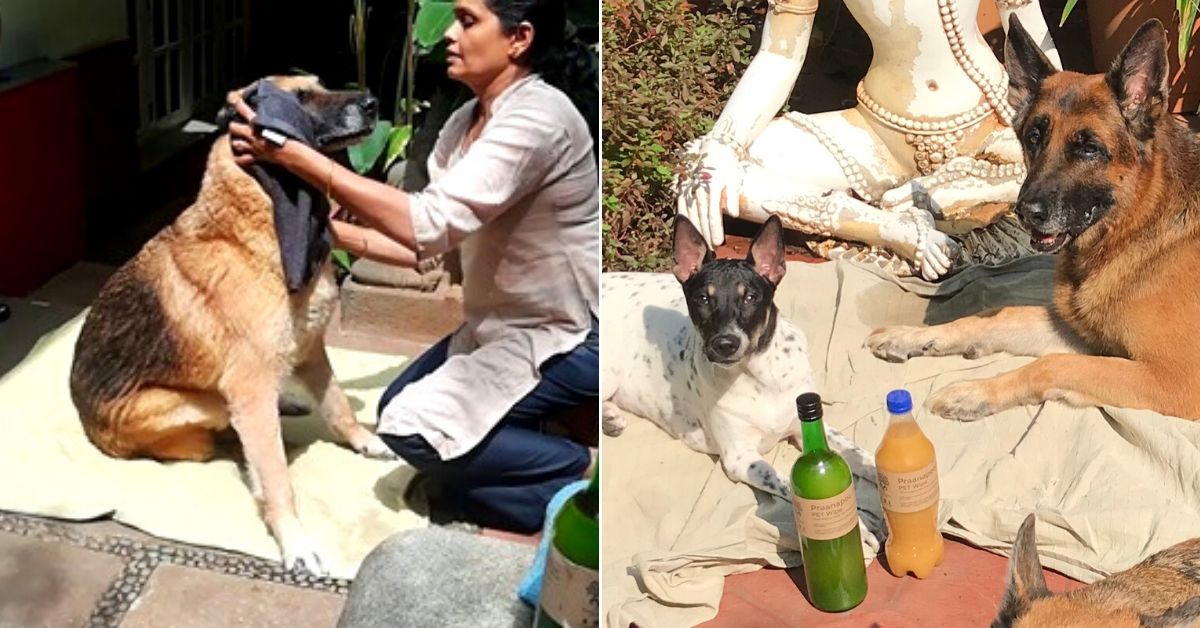 Dog at Home? Bengaluru Lady’s All-Natural Hack Will Keep Your Pet’s Fur Stink-Free!