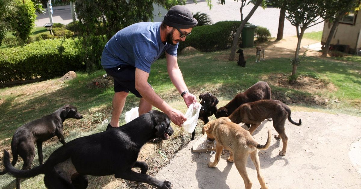 delhi stray dogs covid-19 lockdown