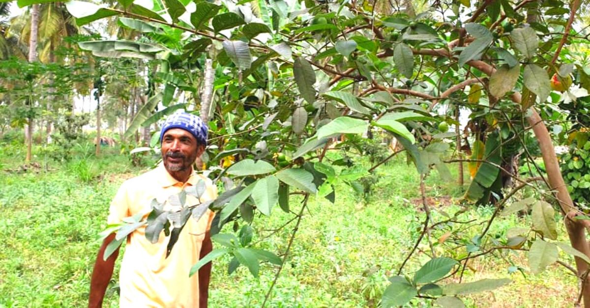 300 Plant Varieties in 1 Acre Increases Mysuru Farmer’s Profits to 10 Lakhs!