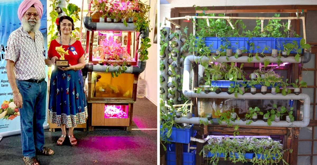 This Goa Couple Grow Their Veggies & Fish Without Using Soil or Chemicals!