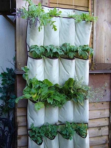 vertical garden