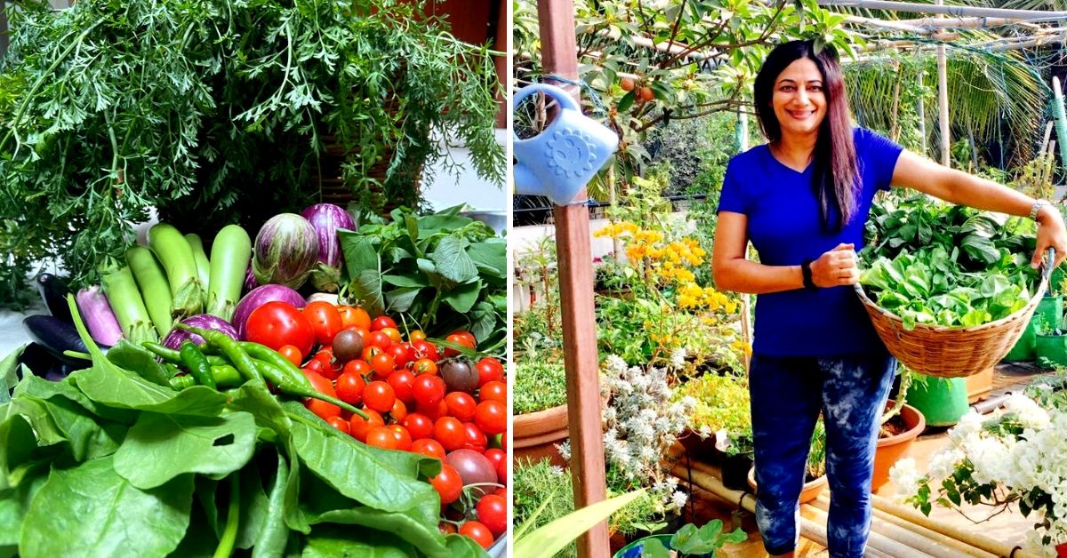 Vegetable, Fruits, Herbs: B’luru Woman Shares How She Grows 80+ Plants at Home