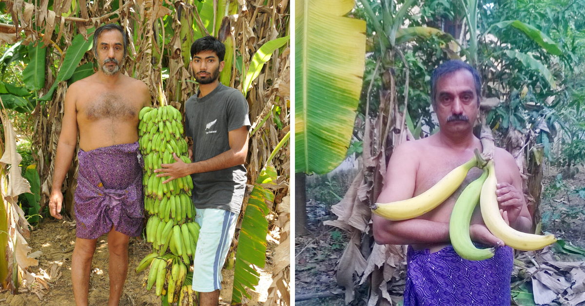 430+ Varieties of Bananas: Kerala Man’s 3-Acre Farm Bears Harvest Worth Over a Lakh