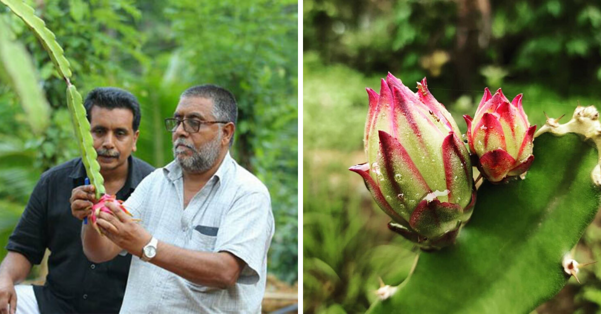 From Rare Fruits To Cows & Fish, Kerala Duo’s 18 Acre Farmland Is A Must-Visit Wonder