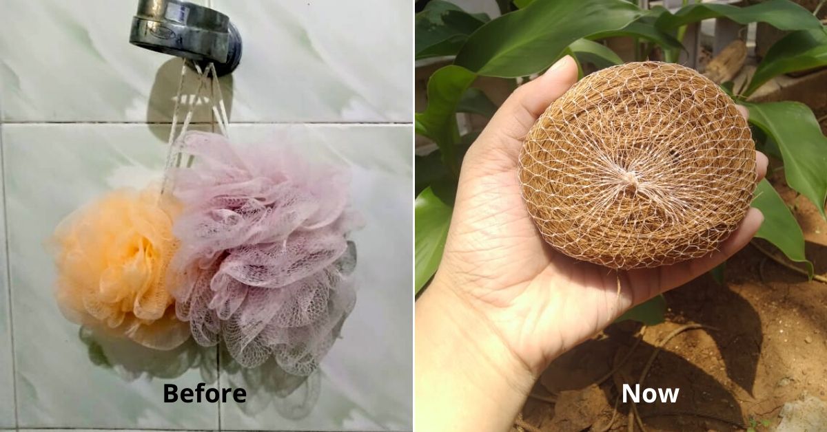 Sustainability coconut loofah