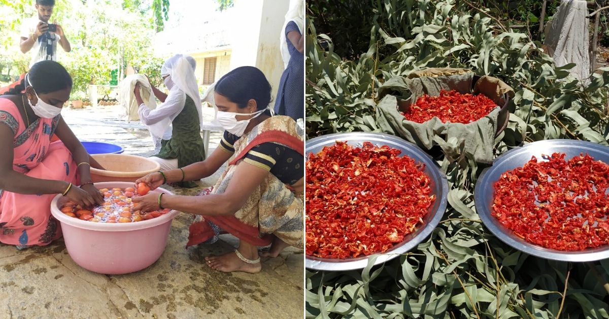 kolar tomato preservation