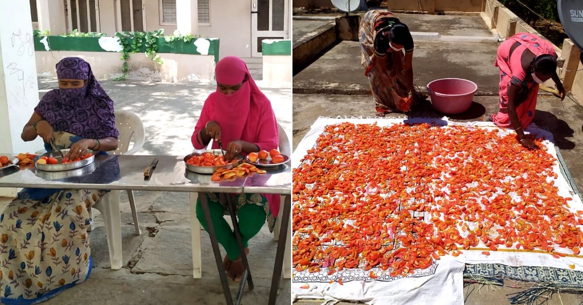 kolar tomato preservation