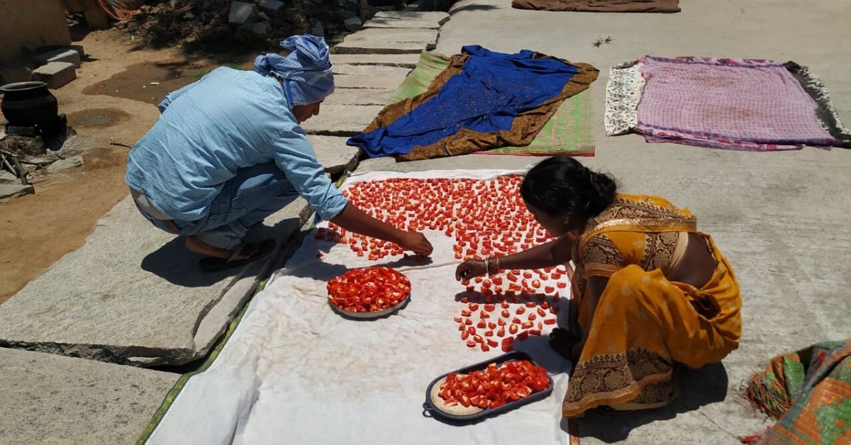 kolar tomato preservation