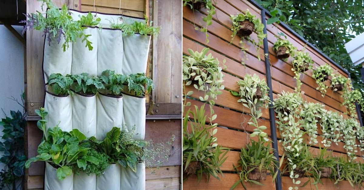 Got a Small Space? 6 Ways You Can Easily Grow a Lush Vertical Garden