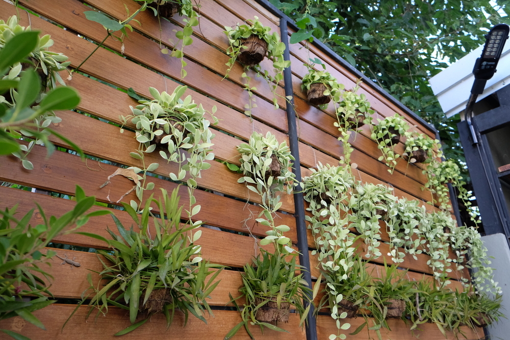 vertical garden