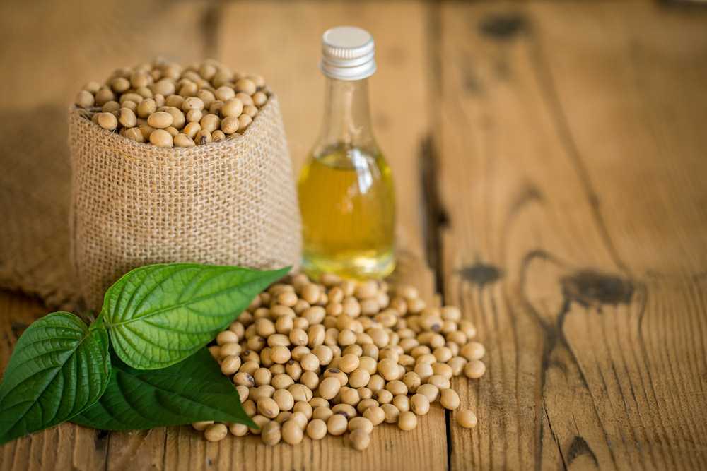 soybean vegetable oil