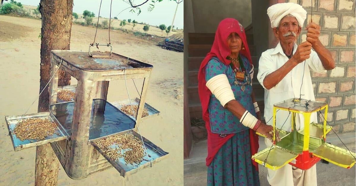 Barmer Villagers Make Birdbath From Oil Tin Can, Inspire Hundreds to Do the Same!