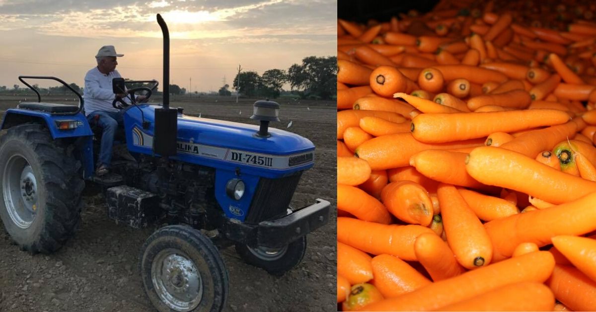 Retd Colonel Turns Carrot King, Makes UP Village India’s Largest Carrot Producer