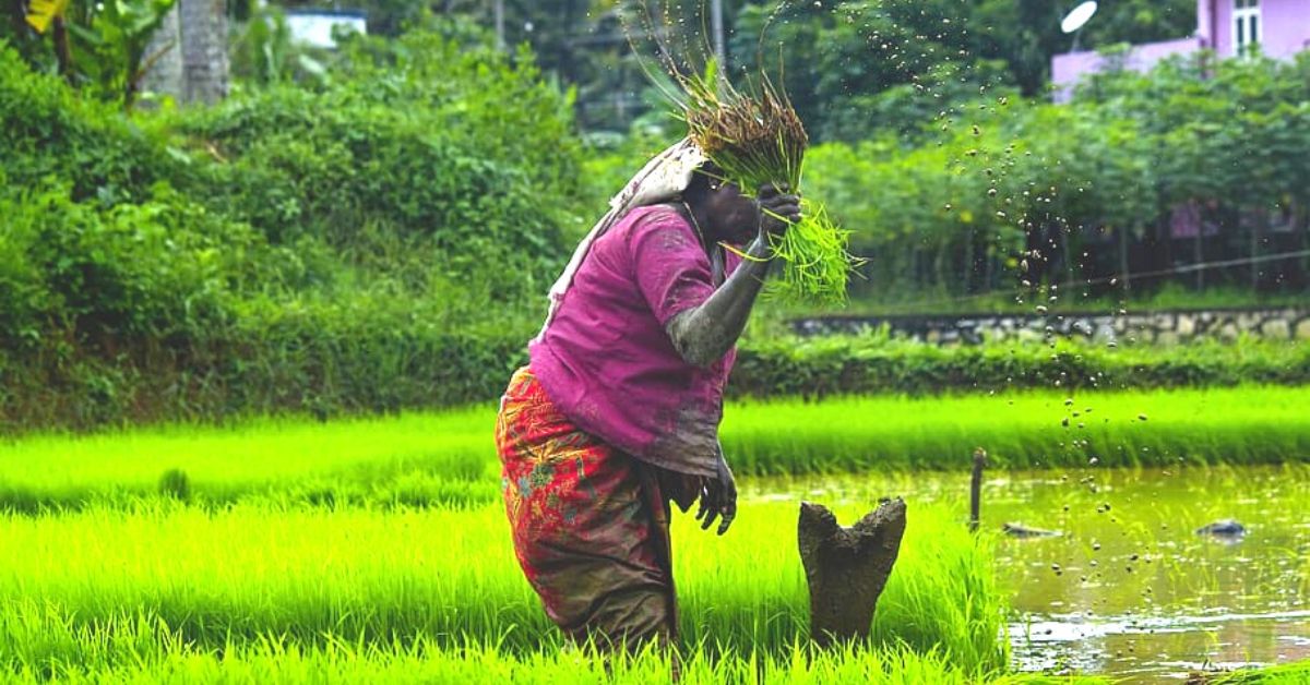 Can Centre’s Agriculture Reforms Positively Impact Farmers? Experts Have Their Say