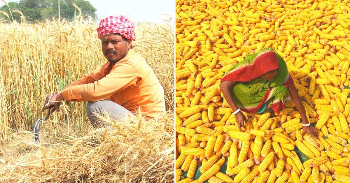 Here’s How Experts Believe We Can Make India’s Farmers Worry-Free